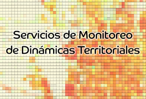 Servicios de Monitoreo de Dinámicas Territoriales
